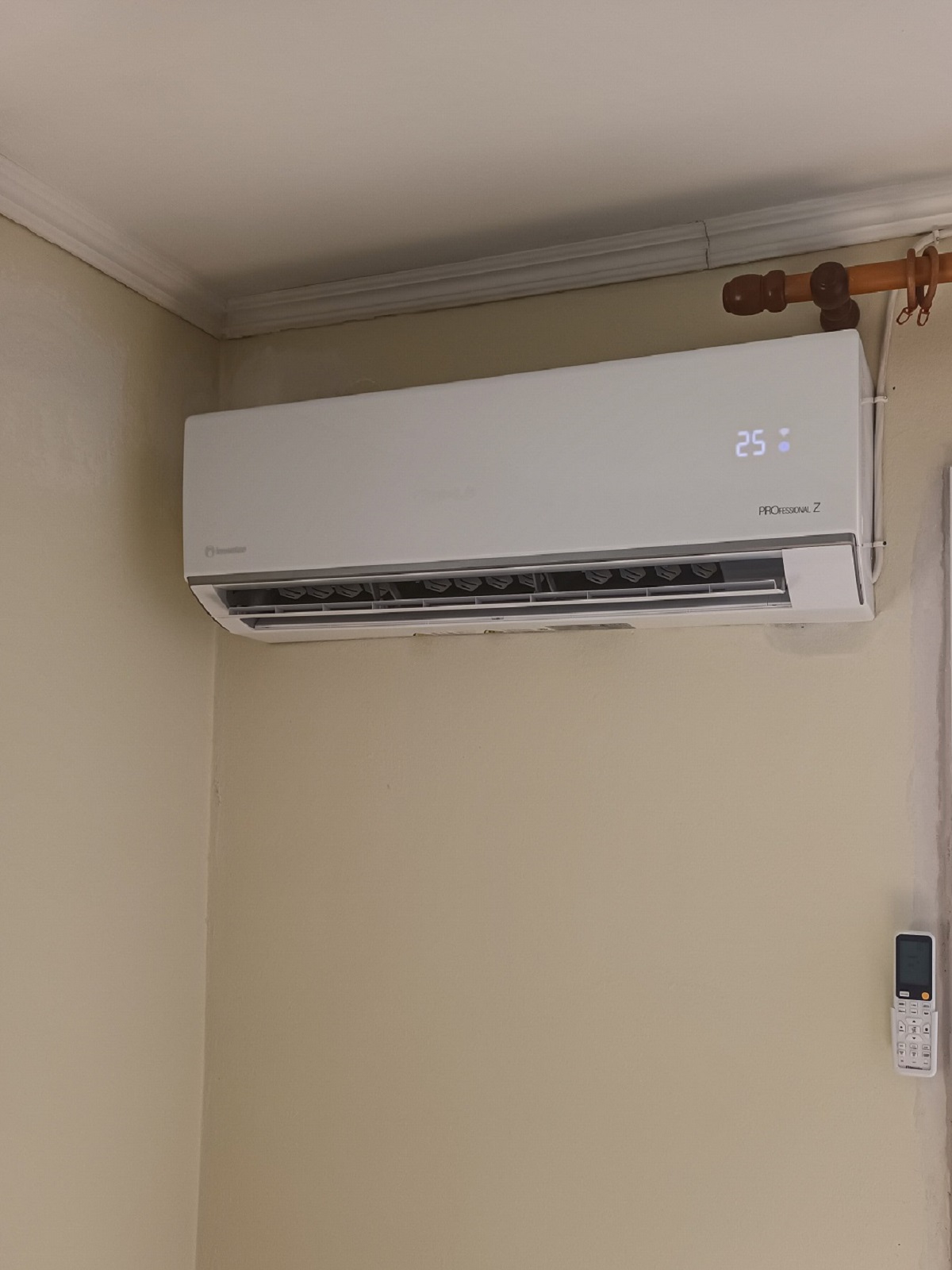 Κλιματιστικό Invertor ProZ - ΚΑΛΛΙΦΥΤΟΣ ΔΡΑΜΑ